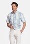 Giordano League Button-Down Stripe Twill Overhemd Apple Green-Multi