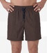 Hiltl Solid Color Lightweight Quick Dry Swim Short Brown