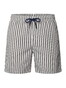 Hiltl Striped Lightweight Quick Dry Swim Short Brown-White