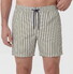 Hiltl Striped Lightweight Quick Dry Swim Short Olive-White