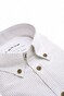 Ledûb Oxford Cotton Vertical Stripe Button-Down Shirt Light Grey