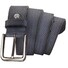 Lindenmann Fine structure Riem Navy