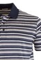 Paul & Shark Jersey Cotton Shaded Stripes Polo Multicolor