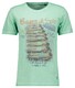 Ragman Jersey Bagno Di Sole Graphic T-Shirt Light Green