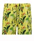 Ragman Multicolor Leaves Floral Pattern Swim Short Geel-Multi