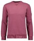 Ragman Round Neck Uni Color Sweat Trui Anemone