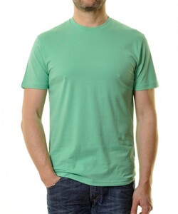 Ragman Uni Round Neck Single Jersey T-Shirt Pastel Groen