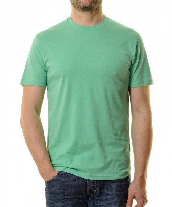Ragman Uni Round Neck Single Jersey T-Shirt Pastel Groen