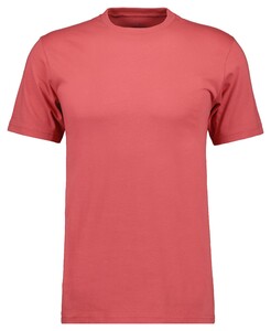 Ragman Uni Round Neck Single Jersey T-Shirt Zalm