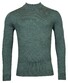 Thomas Maine Turtleneck Single Knit Trui Pine Green